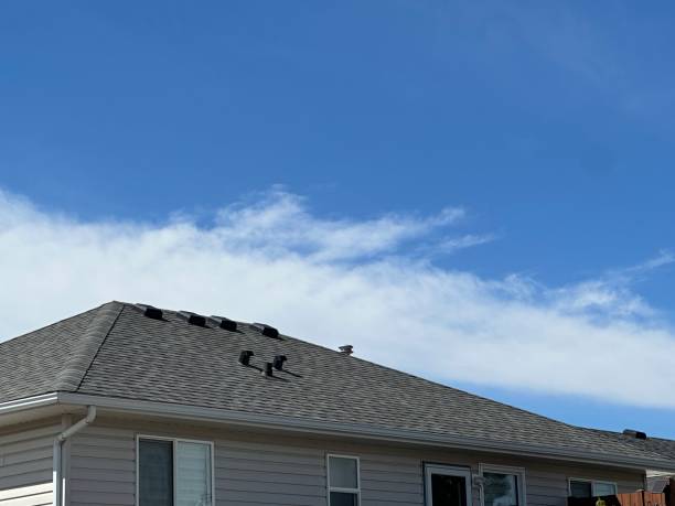 Fast & Reliable Emergency Roof Repairs in Woodbury, MN